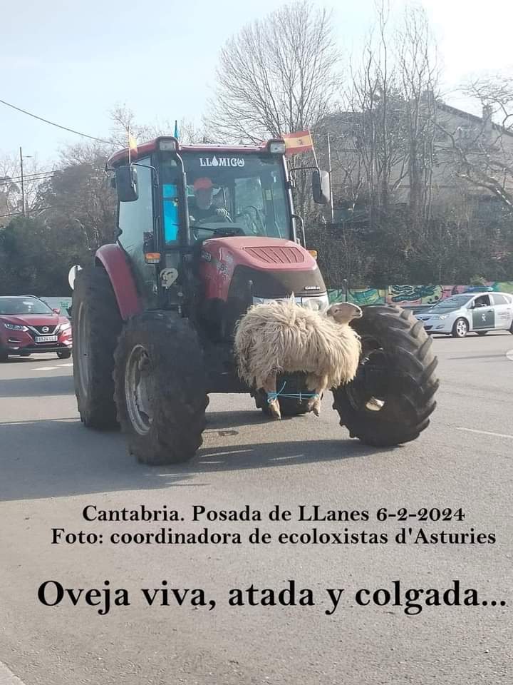 Asusta: Derogación de la Ley de Protección Animal. Derogación de Leyes ambientales y que protejan a especies que atenten contra el campo. 
Derogación del pacto verde Europeo y la agenda 2030".
No señores y señoras. Por ahí va a ser que No se ganan mi solidaridad.