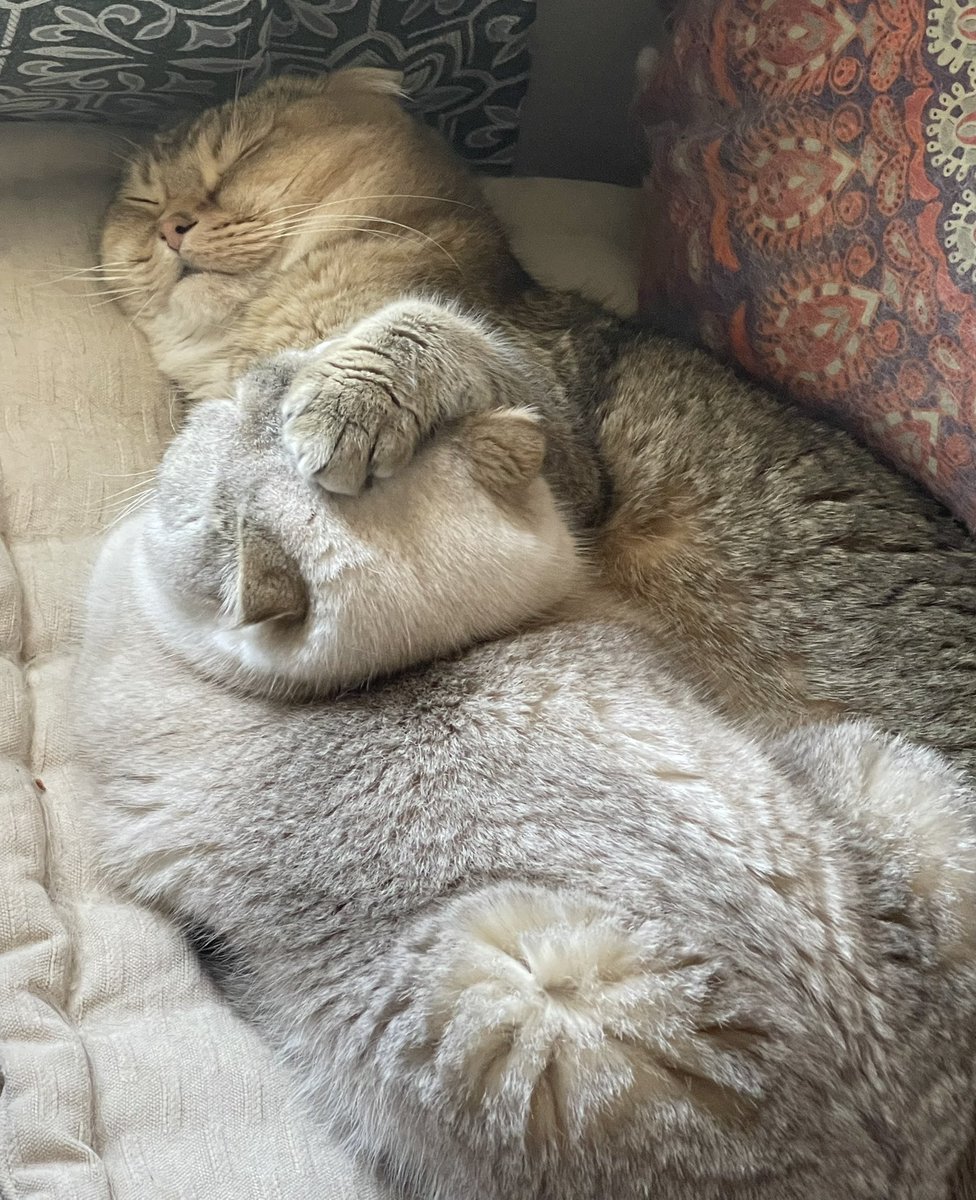 When you want to sleep in peace lol