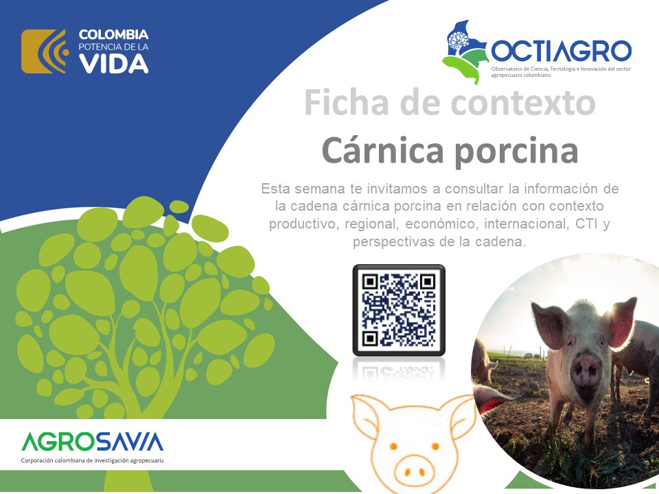 ATALinkata's tweet photo. 🐷🌿 Extensionistas agropecuarios, la producción de carne porcina está evolucionando con la innovación. Descarga la Ficha de Contexto de OCTIAGRO. 🚀🔬
¡Comparte este recurso con tus colegas!
👉Enlace: https://t.co/UY6NolP6vq
#CarnePorcina #OCTIAGRO #Linkata https://t.co/20A2MeNby4