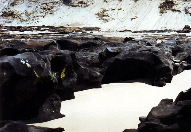 AustralianCoastalSociety (@austcoastalsoc) on Twitter photo Bruce Thom’s fascinating story of his first encounter with COFFEE ROCKS in 1956 is now in his latest blog:
 australiancoastalsociety.org.au/acs-blog/2024/…
Share your experience with us if you've got one.
# CoffeeRock #AustralianCoastalSociety #BruceThom Bruce Thom’s fascinating story of his first encounter with COFFEE ROCKS in 1956 is now in his latest blog:
 australiancoastalsociety.org.au/acs-blog/2024/…
Share your experience with us if you've got one.
# CoffeeRock #AustralianCoastalSociety #BruceThom