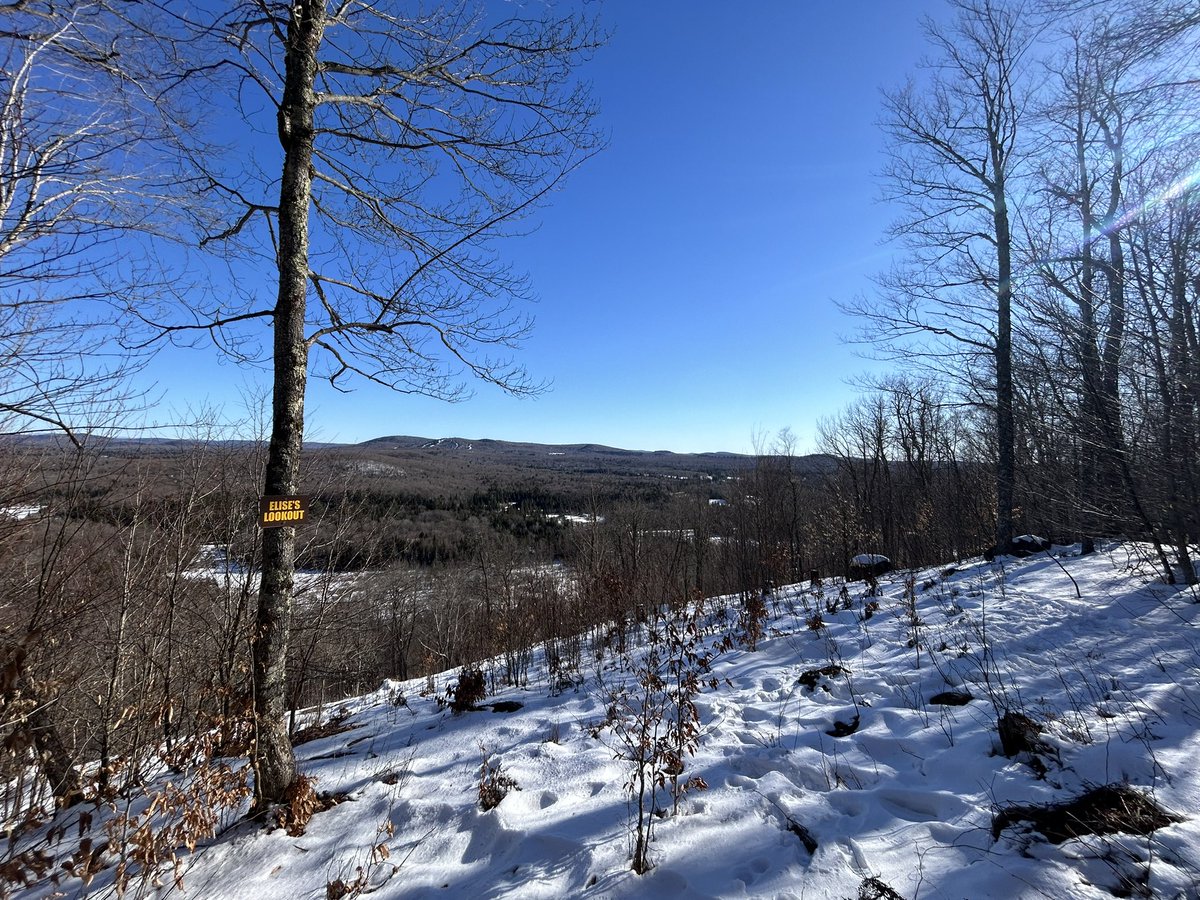 Not a bad day at work!