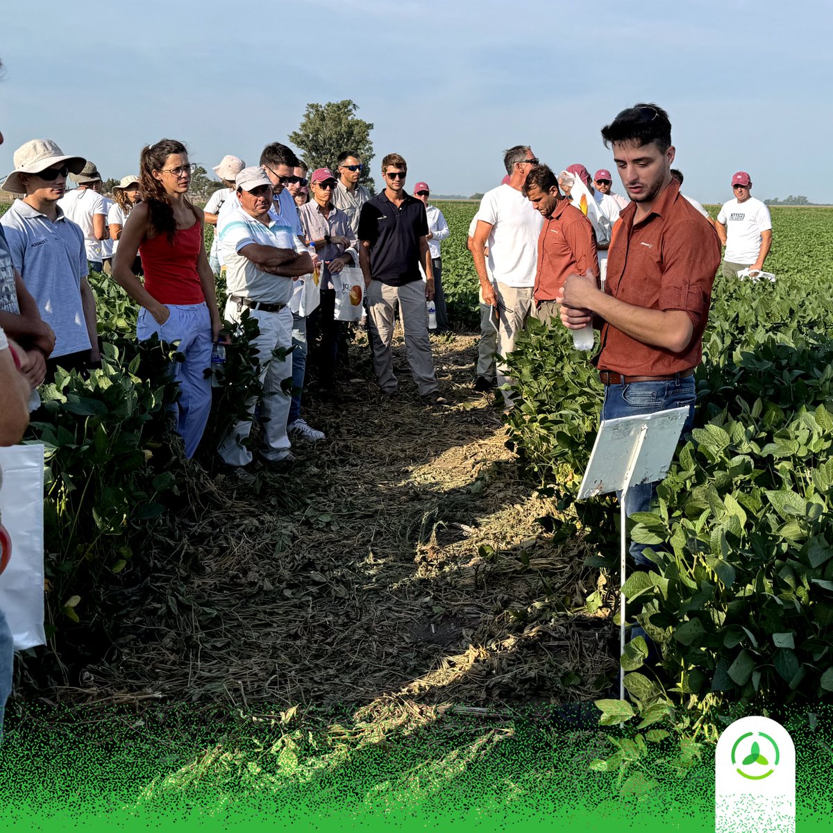 AgroconsultorSA's tweet photo. 🌱🔄 Frente a la fitotoxicidad en #soja pensamos cómo hacerle frente mediante su recuperación con #bioinsumos. 

💪Así vimos algunos datos de ensayos que hacemos para @fumisem_sa y @UPLArgentina en un encuentro a campo donde también nos acompañó Wenceslao Tejerina. https://t.co/KwZdgO6ZxI
