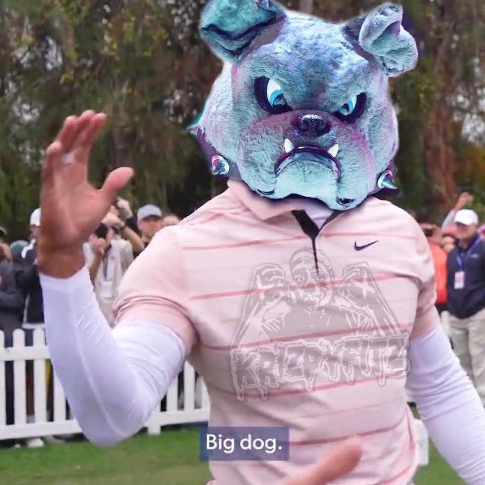 krizpyfitz's tweet image. The real #HeadOfTheTable #TheBigDog 🐶 
This is who’s beating Roman and Rock at #WrestleMania