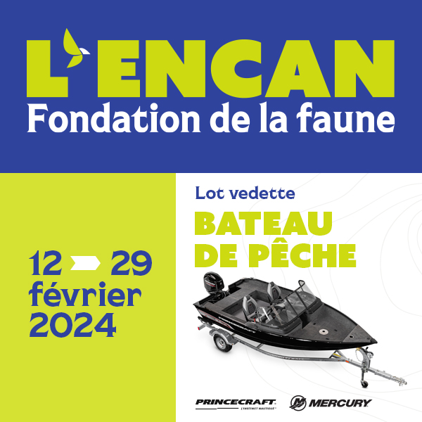 Fondation faune tweet media