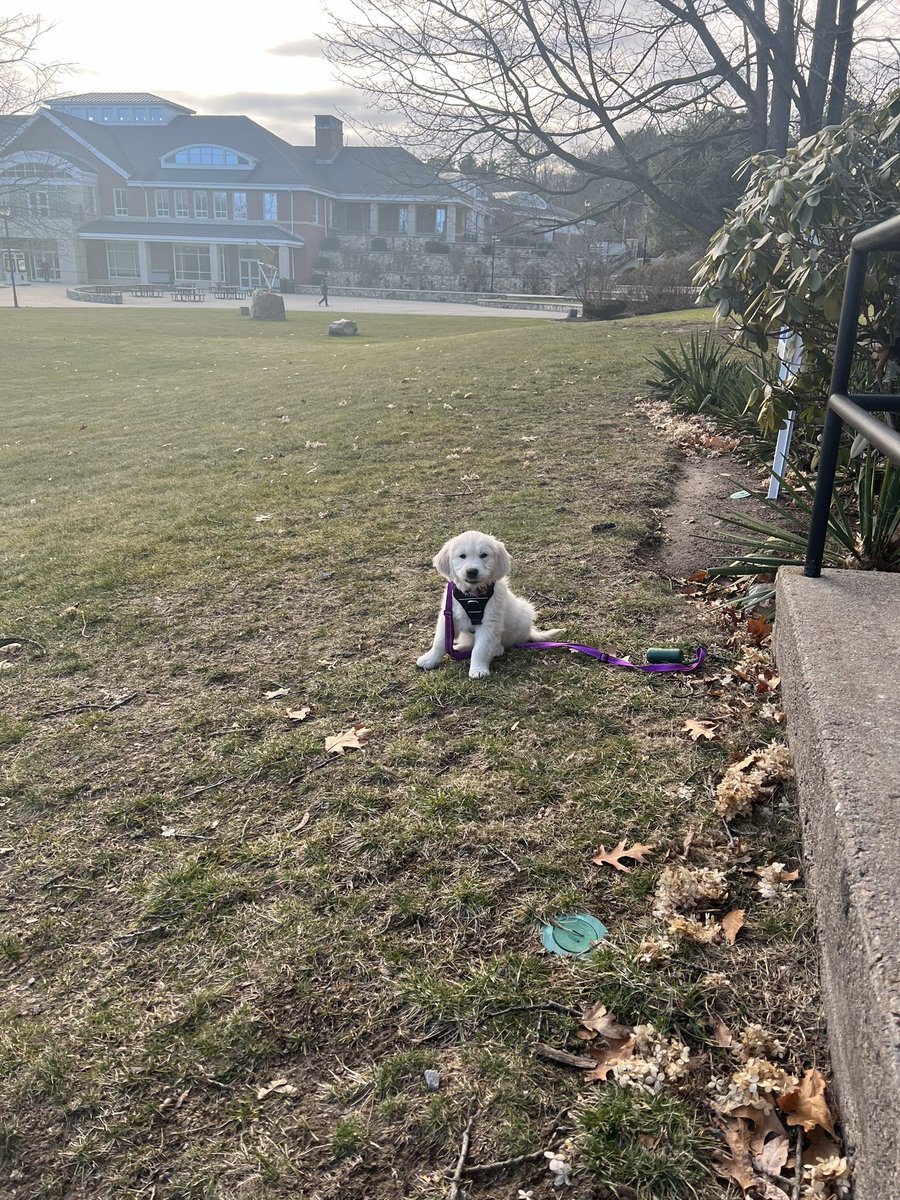 CurryEdu's tweet photo. Graham💜

#CurryCollege #BeCurry https://t.co/NOTEKMHvwv