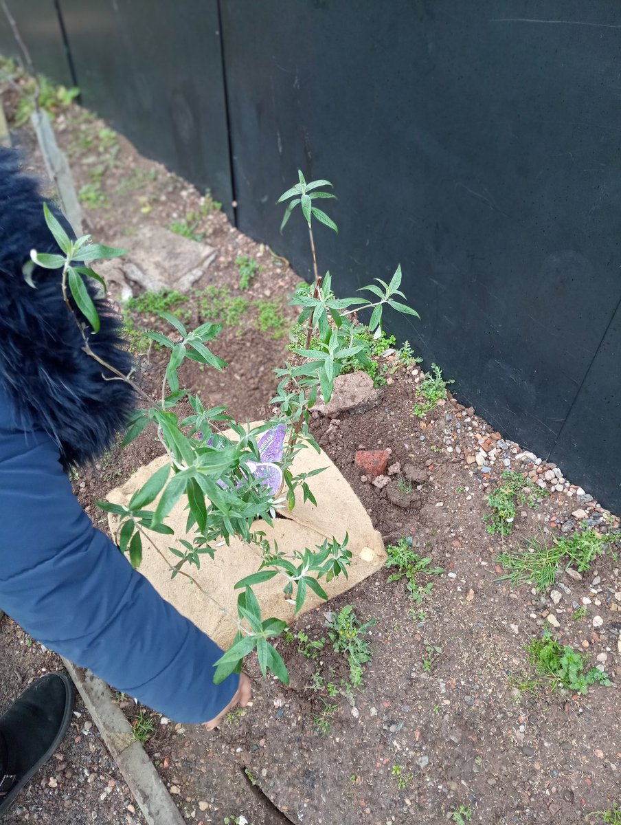 LeamoreSchool's tweet photo. Our School Council worked amazingly with the Forest of Mercia Team today. They planted 16 new trees and plants! ,💚🌿 https://t.co/WmtVak1upf