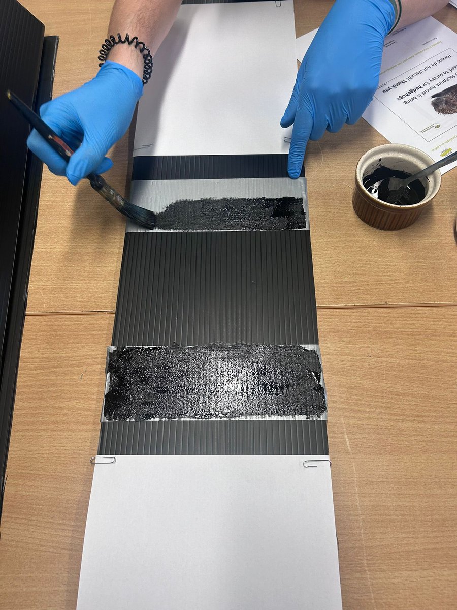 Mitchell Rees tweet media