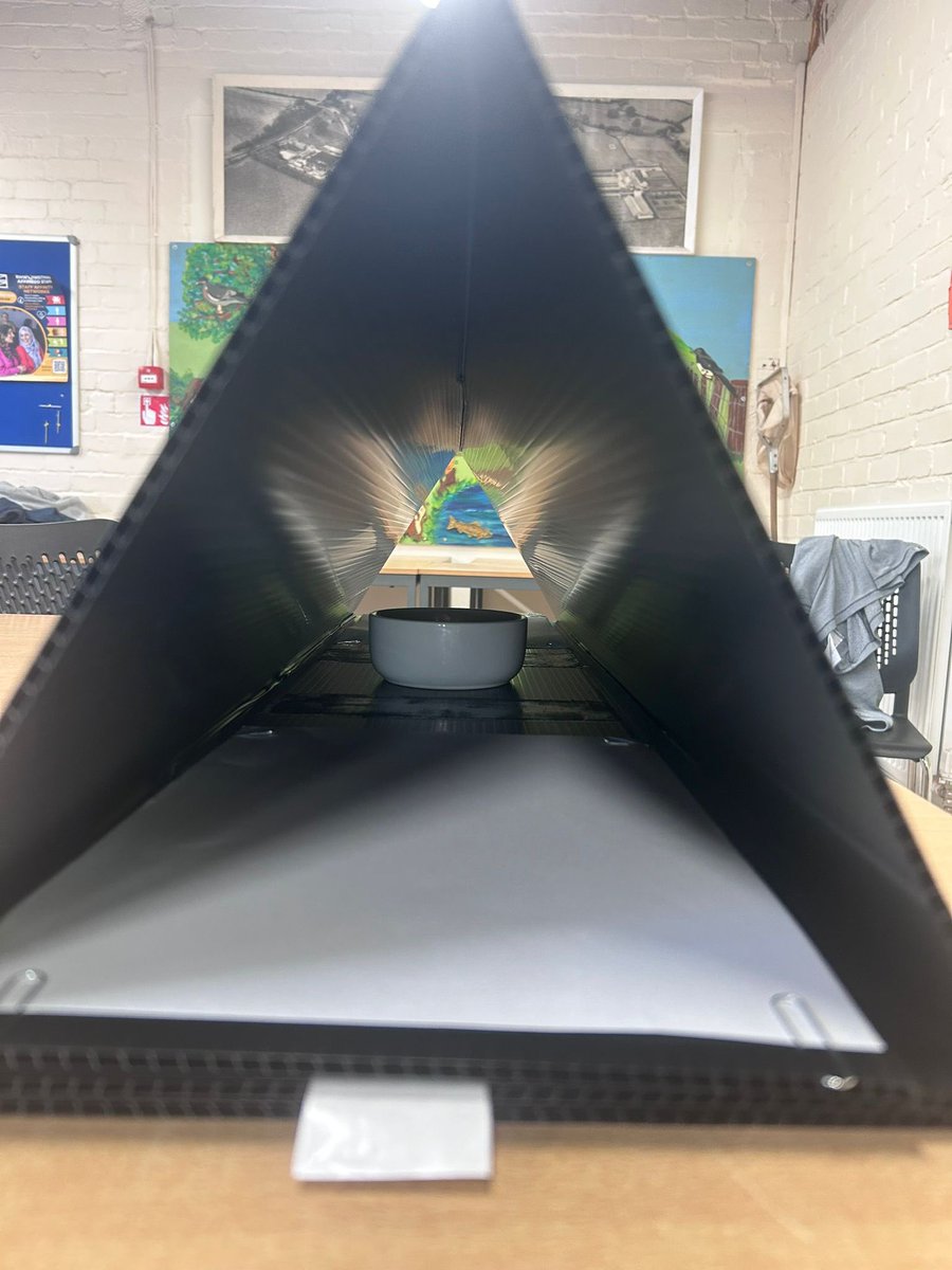 Mitchell Rees tweet media