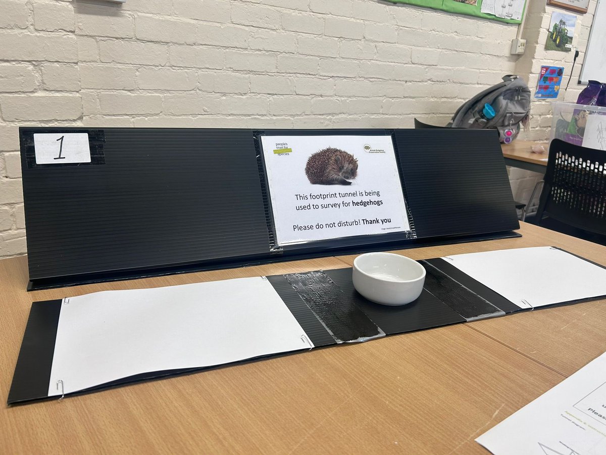 Mitchell Rees tweet media