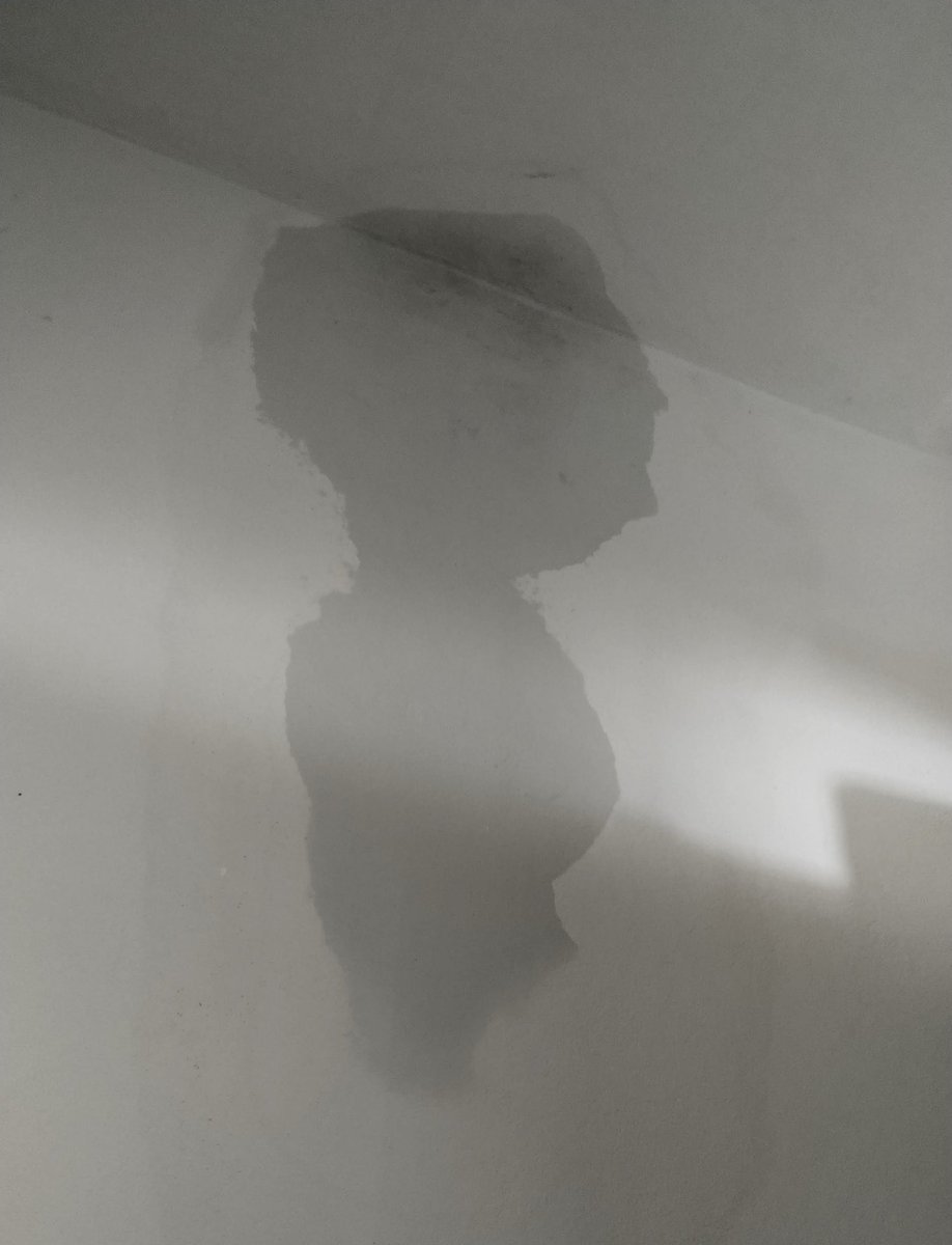 Gabozilla's tweet image. me lembra da infiltração que apareceu no meu quarto uma vez