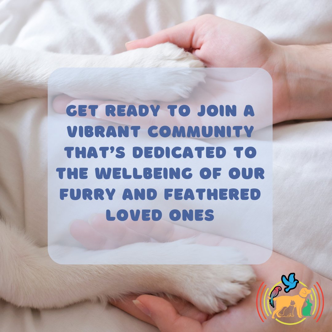 Calling all animal lovers! 📣
Get ready to join a vibrant community that's dedicated to the wellbeing of our furry and feathered loved ones!
#TailsBeaksAndFeets #PetCommunity #AnimalLoversUnite