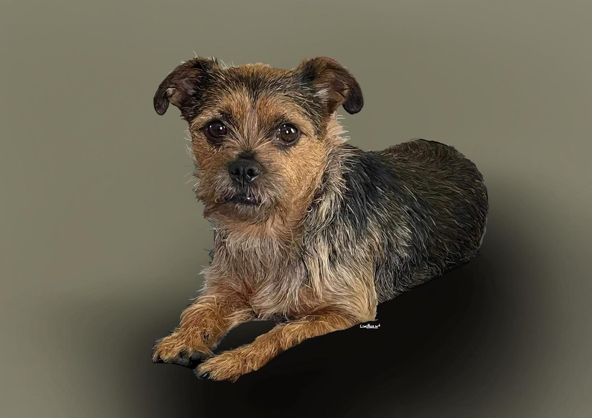 Limitless Art tweet media