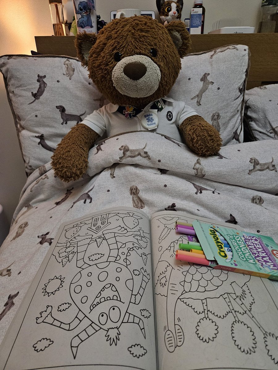 Hope everyone has had a lovely day, I'm now home from #teaching,  had my tea & settled in bed with some colouring to relax! I'm using my colours of kindness pens, these are my favourites! #bearswithjobs #teachingyoutosavelives #MentalHealthMatters #selfcareisnotselfish