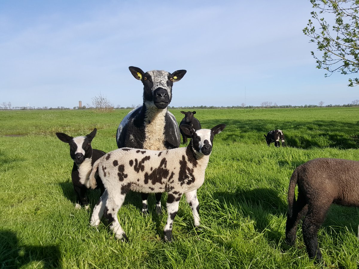 Anita van Leyden tweet media