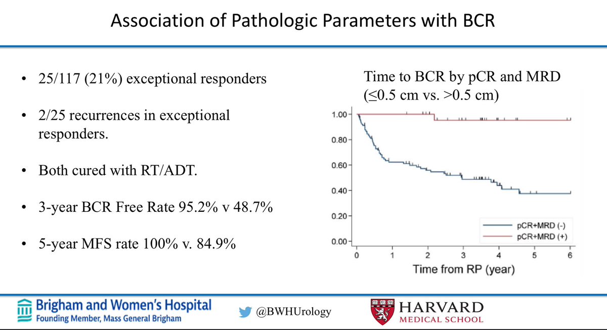 Neoadjuvant intensified ADT in high risk prostate cancer results in 21% of exceptional responders (complete response or <5 mm of residual cancer) with great long term outcomes @adamkibel_uro #MayoUroHawaii24