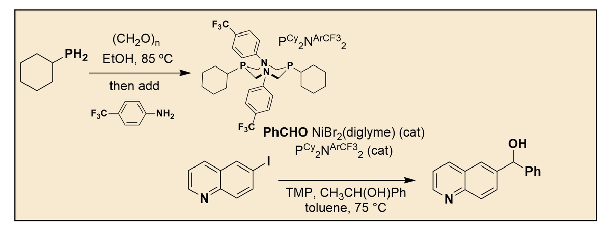Organic Syntheses tweet media