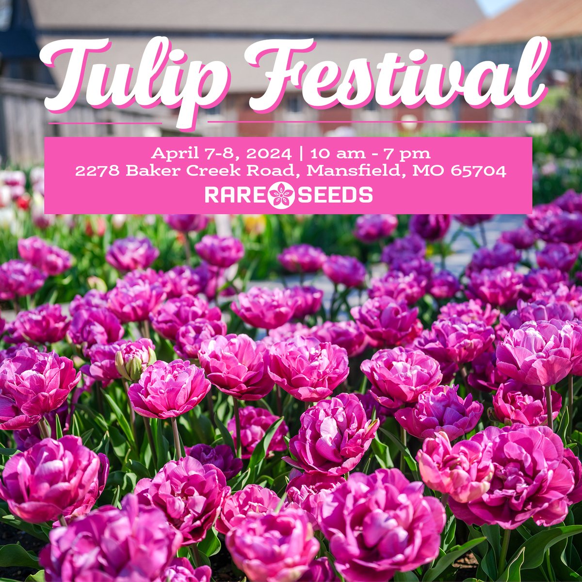 🌷 Come and enjoy tulips at their peak! 🌷 Enjoy expert speakers, local food, unique vendors, greenhouse and garden tours, and old-fashioned entertainment at Baker Creek's Mansfield, Missouri, farm! Join thousands of gardeners, farmers, and craftspeople to celebrate heirloom…