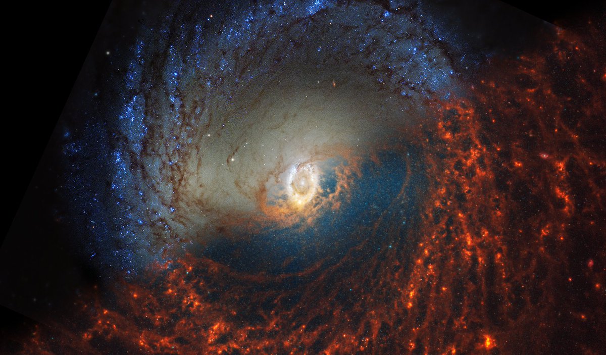 NASAWebb's tweet photo. It's always better when we're together ❤️ 💙 

In these galaxy images, Webb data is highlighted in red and @NASAHubble data in blue. While Webb shows dust glowing in infrared light, Hubble's visible light view tells us where starlight is absorbed by dust: https://t.co/hM0APgsJxo https://t.co/Ea8Ql6PZlg