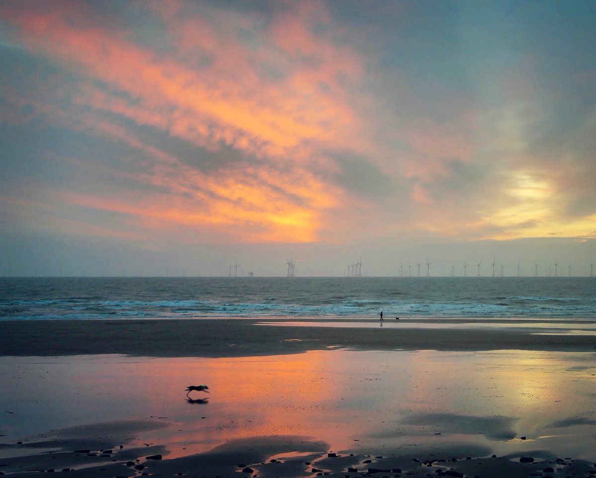 West Point House tweet media