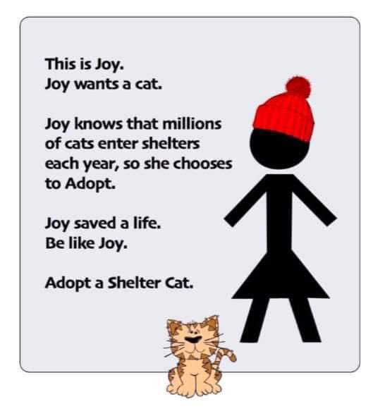 Be like Joy…

cwwrescue.org/available-cats

cwwrescue.org/mobile-donate

#adoptdontshop #catrescue #rescuecatsrock