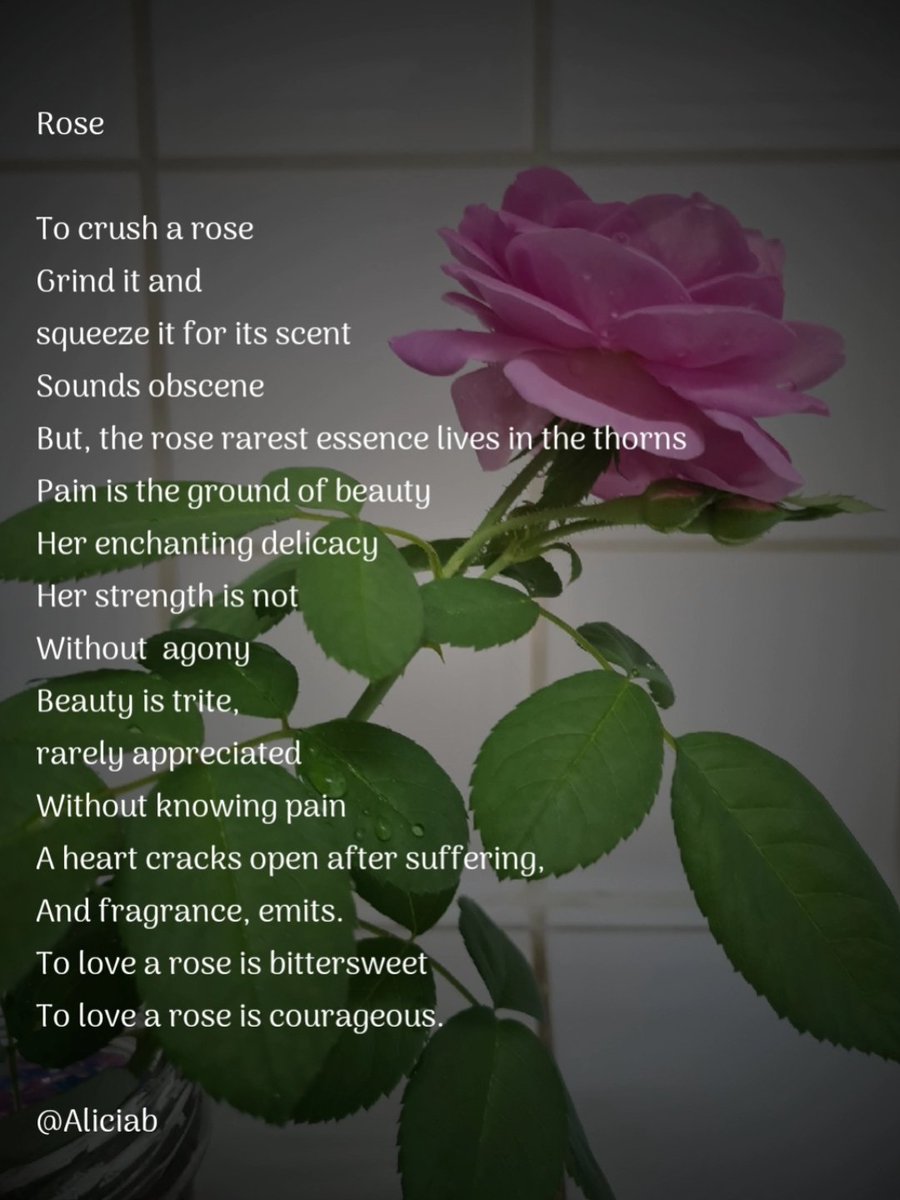 'Every rose is prey to winter.'~ Rumi the beloved ♥️ Every heart is prone to brokenness🥀 #poetry #poet #Poesía #Rumi #eyeloveyou #LoveEndures