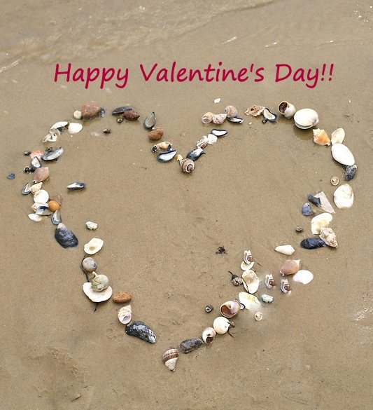 visitbrazosport's tweet photo. #happyvalentinesday #visitbrazosport #valentinesday #seashells https://t.co/stzx6Hf8PO