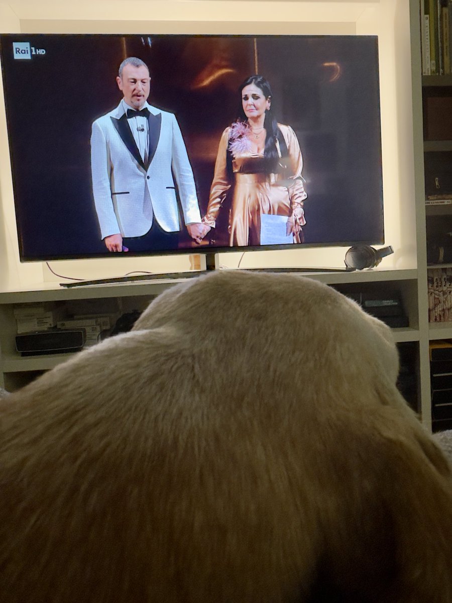 DocThomas's tweet image. Non commentare