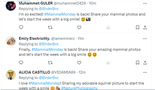 BirderBro's tweet image. Hi @elonmusk👋: can u pls ask ur @X @Safety team to shut down the 100s of 1,000s of #twitterbots ⬇️that spam my posts w/ senseless comments; instead of suspending my acct for "unsual activity"? Much obliged 🙏☺️!
~~~
#BirdTwitter #TwitterNatureCommunity #ThePhotoHour