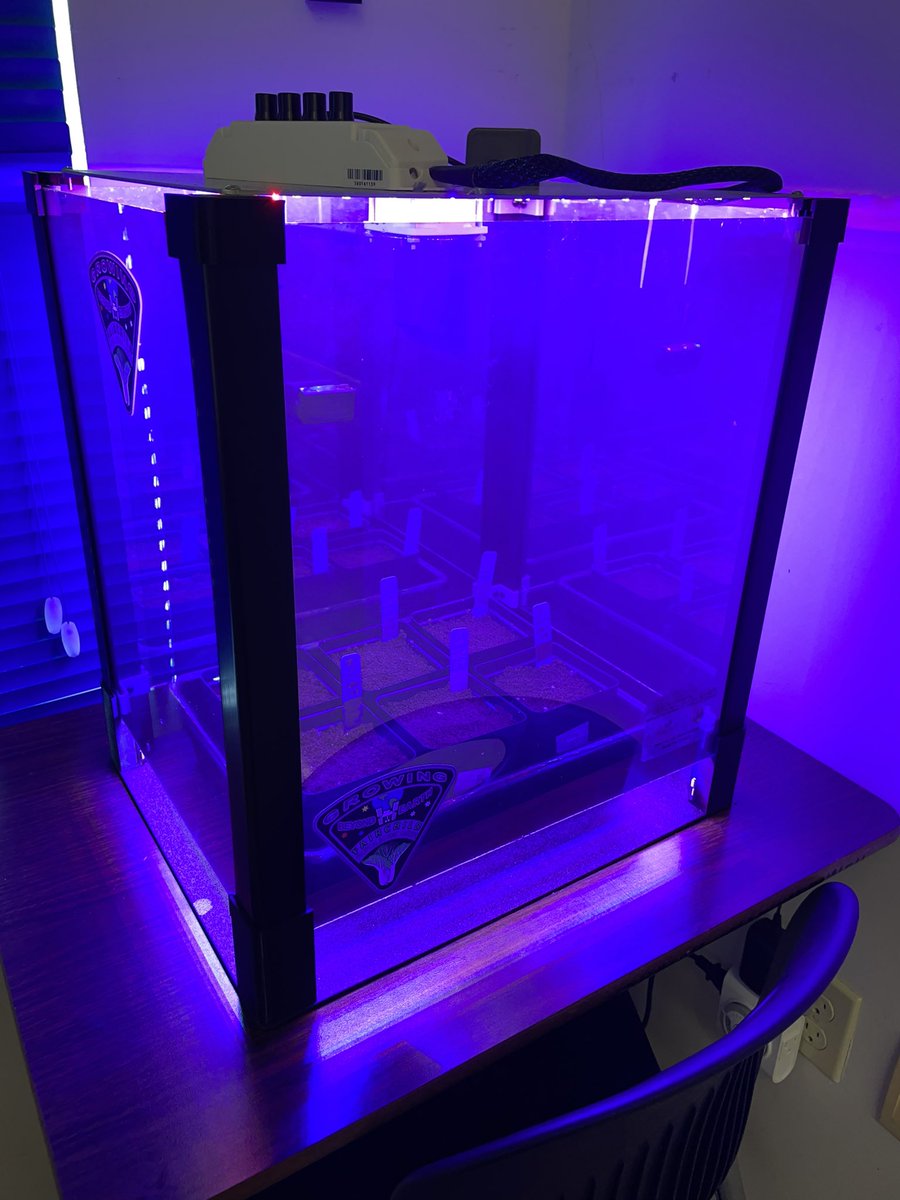 Ms Ro-Do tweet media