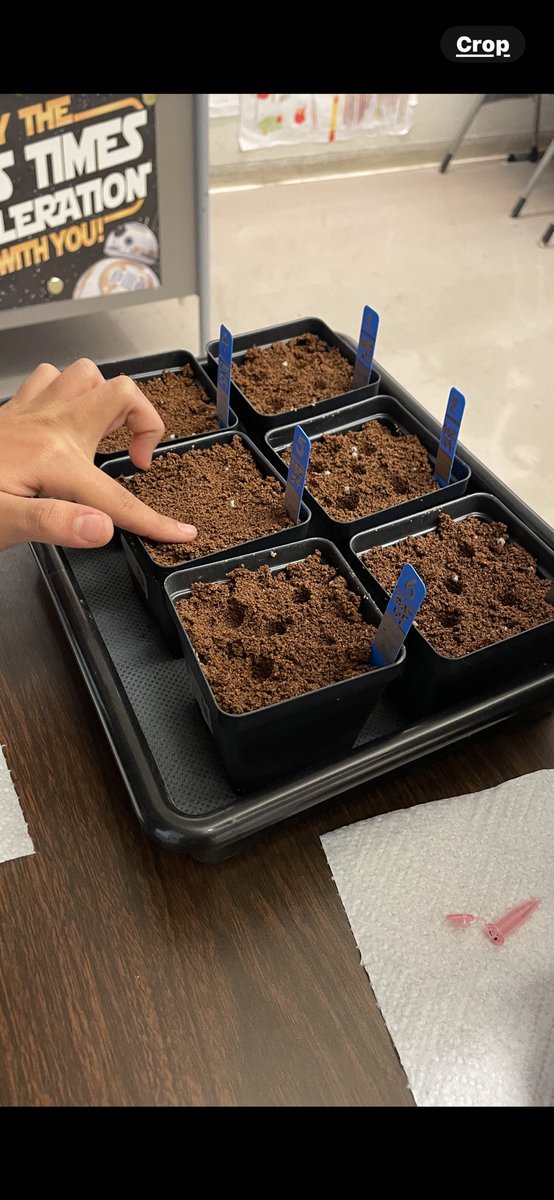 Ms Ro-Do tweet media