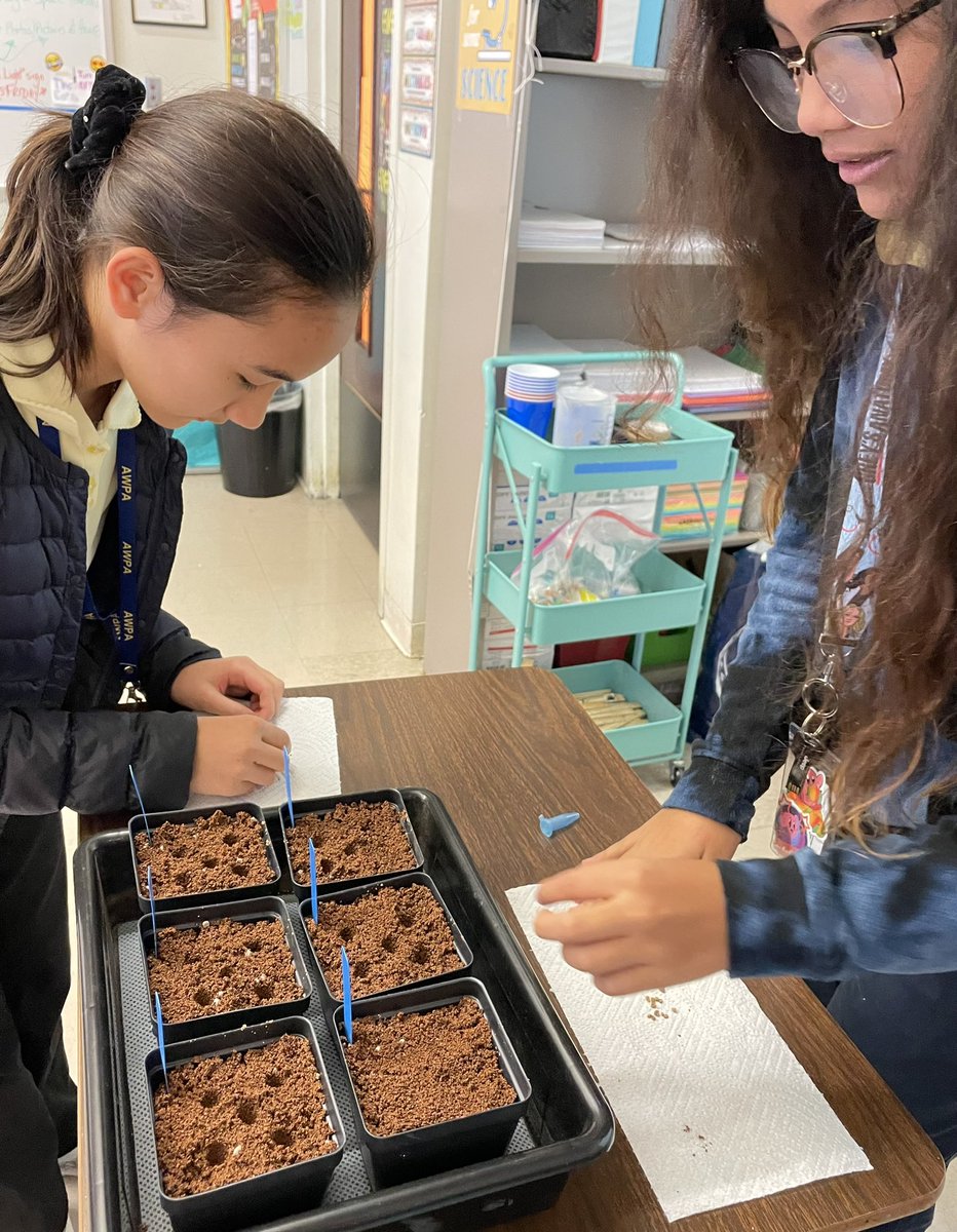 Ms Ro-Do tweet media