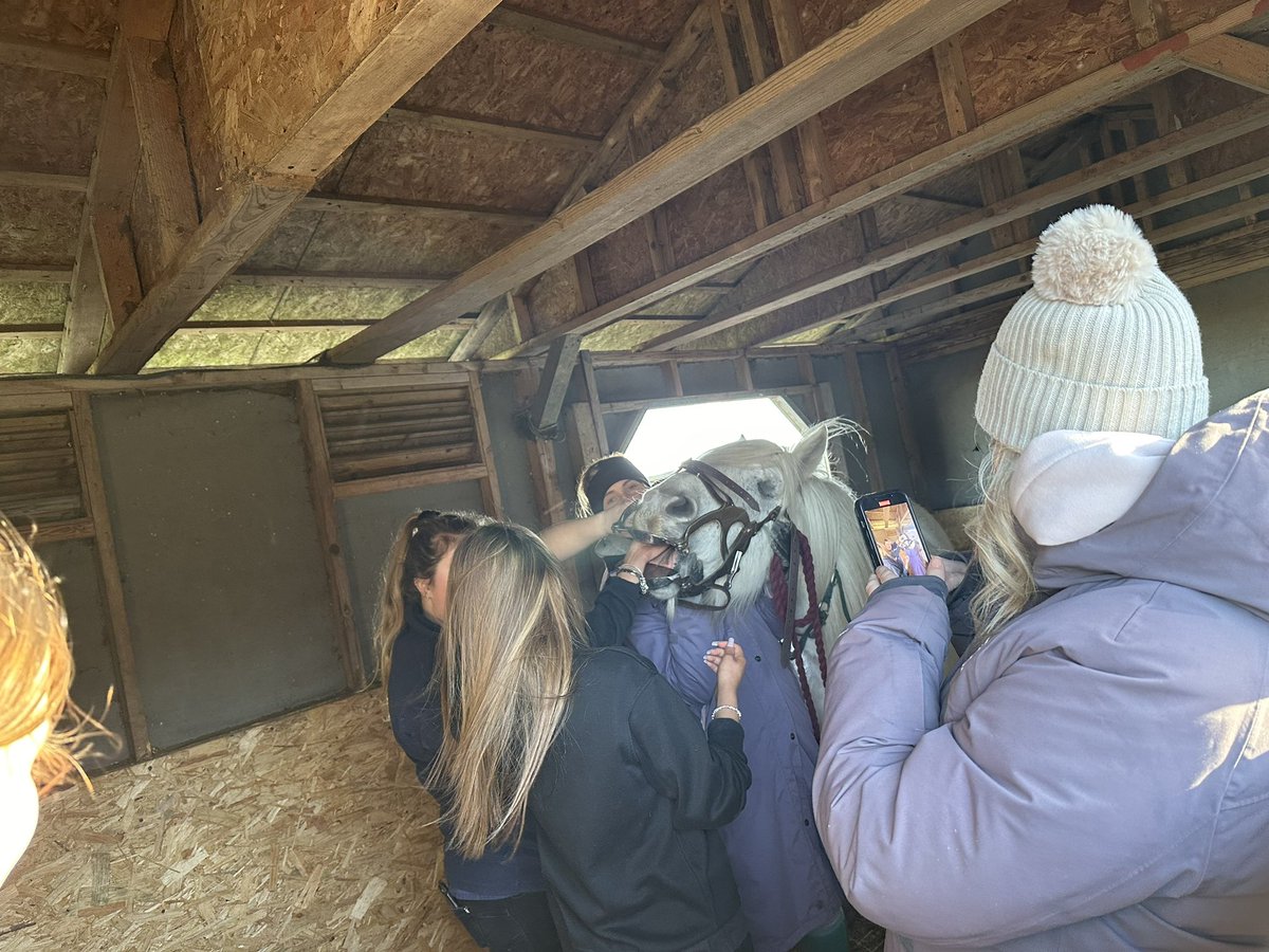 Today our NPA pupils met the vet to learn about equine dentistry. Rocky was very well behaved having his teeth trimmed 🖤 #CHSLearningHub @UHINWHThurso #Equinetherapy