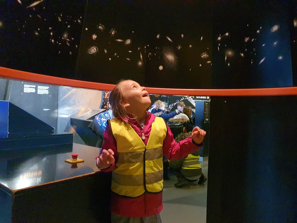 Adlington Primary Cheshire tweet media