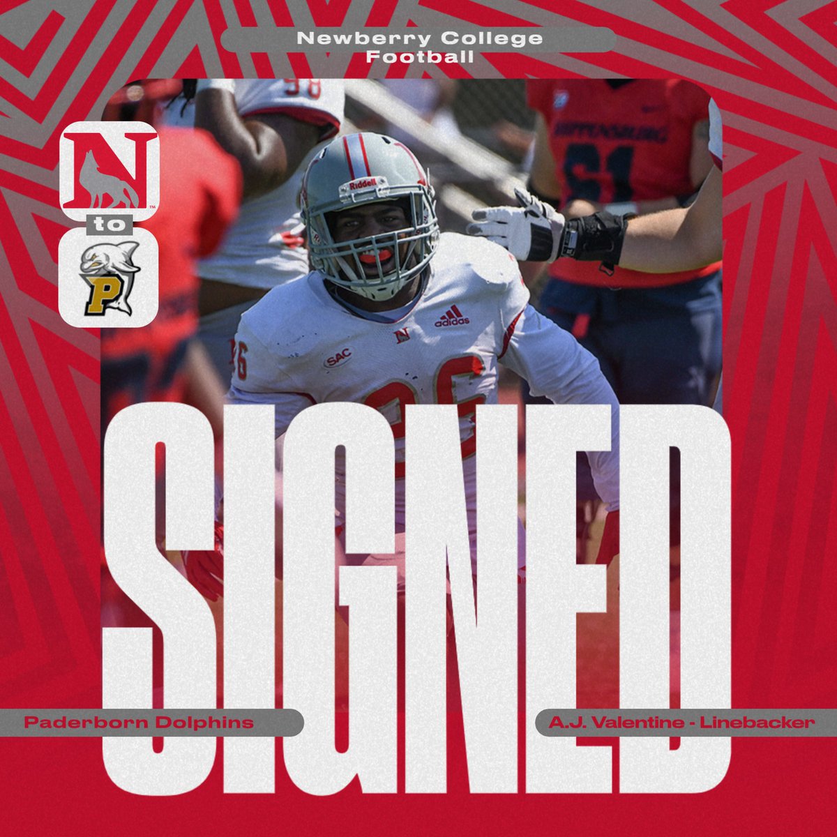 Newberry Wolves tweet media