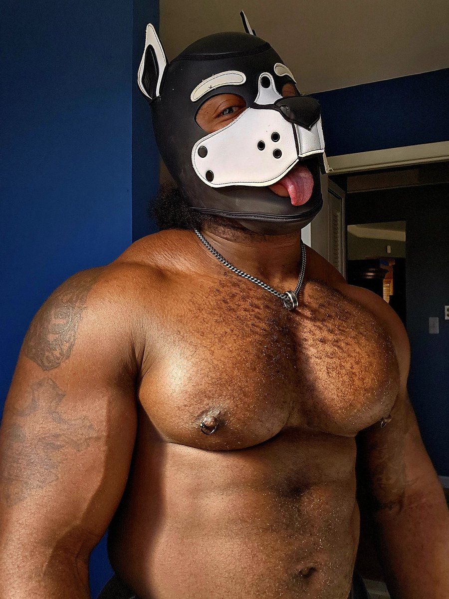 PupNamedTank's tweet photo. Happy Titty Tuesday, Pups, AWROO!!! 💪🐶
#Tittytuesday 💪😜

#musclepup #chestday #Gymrat #fitness #bodybuilding #musclegrowth #muscleworship #gaypup #pupplay #humanpup #pupplaycommunity #alphapup #betapup #muscleman https://t.co/LtyOLvltBc