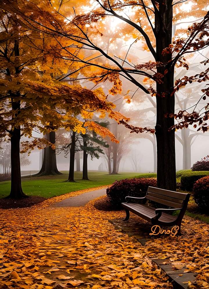 AmordAlma_'s tweet image. Have a great Wednesday 🧡
Pinterest 📷