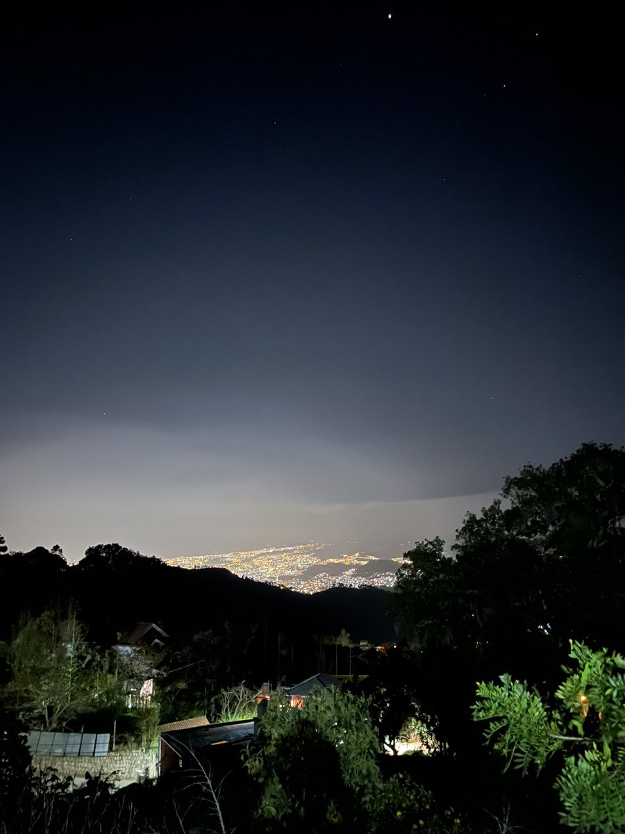 おーしま tweet media