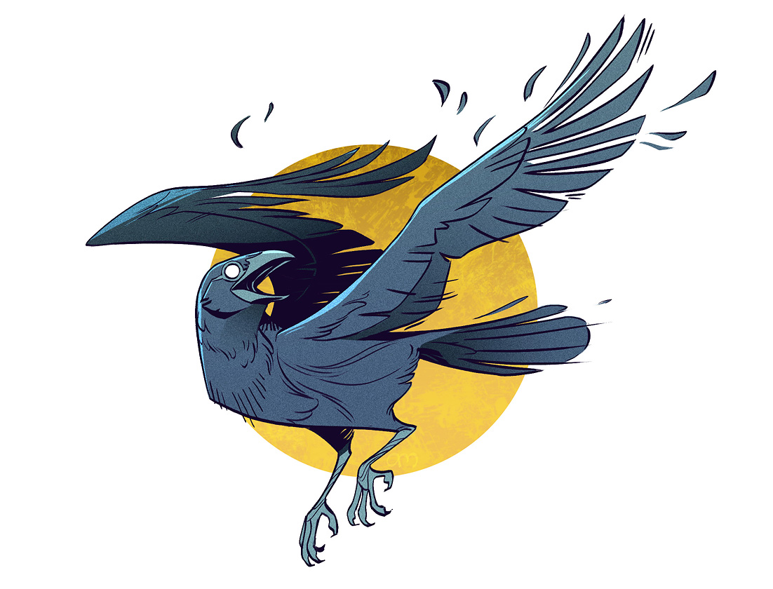 daily work sketch topic was Crow! how could i pass that up