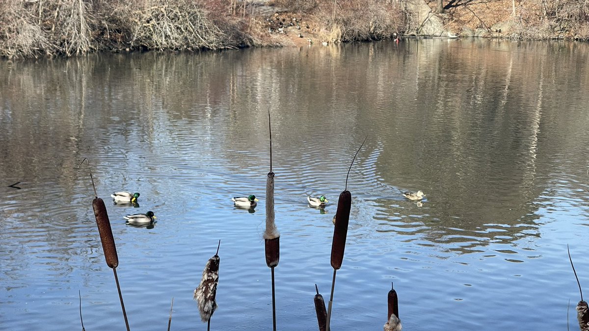 We enjoyed the beautiful weather and took a walk around Lake Wabukayne ! 🦆🪺🐦‍⬛
<a href="/SetonWildcats/">SETON DPCDSB</a> <a href="/DPCDSBSchools/">Dufferin-Peel Catholic District School Board</a>