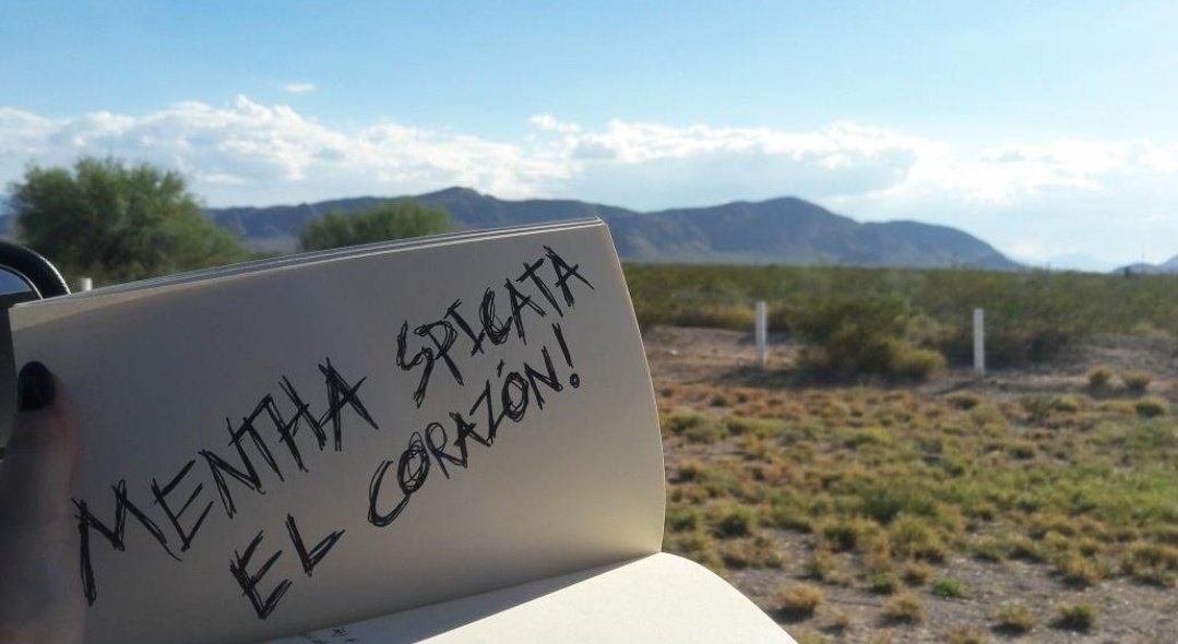 Dee🏒🌟 tweet media