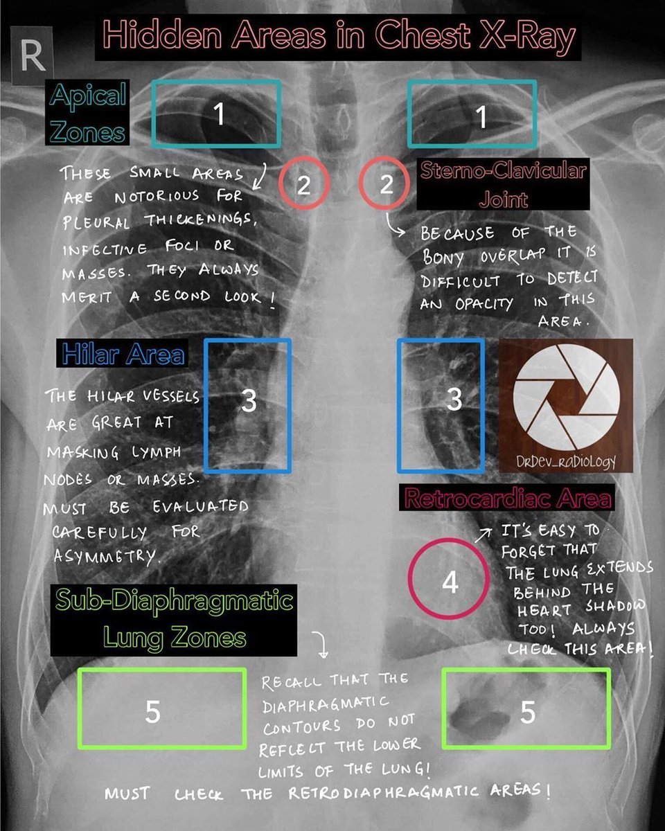 Oren Gottfried, MD tweet media