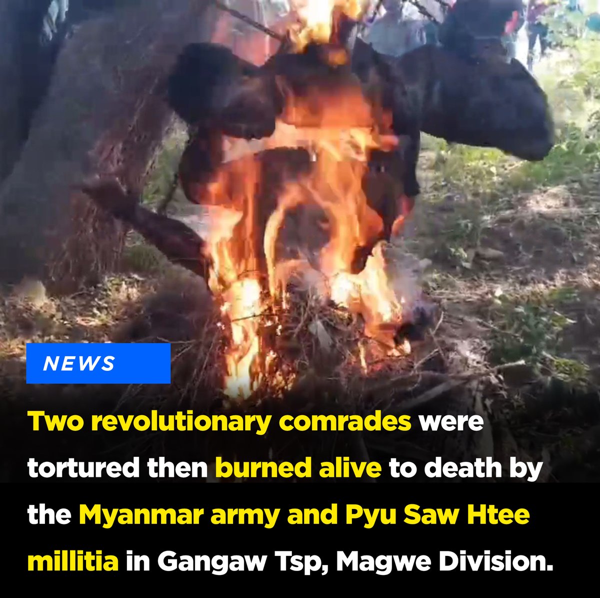 ChindwinPost's tweet photo. GRAPHIC IMAGE⚠️:

The Myanmar military &amp; Pyu Saw Htee militia tortured and burned alive 2 members of the Yaw Defence Force (YDF) on Feb 6, Khit Thit Media. 
The video has gone viral on social media, but we recommend against watching it unless you are confident you can handle it. https://t.co/OGXP7xe6QZ