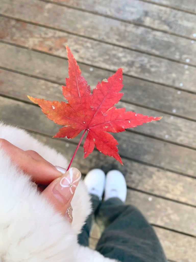 降温又可以穿毛茸茸了⛄️⛄️🍁