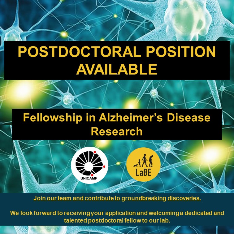 The Laboratory of Aging Biology (LaBE) at the @unicampoficial (Unicamp), located in Campinas, São Paulo, Brazil, is excited to announce a new postdoctoral fellowship opportunity. 1/8