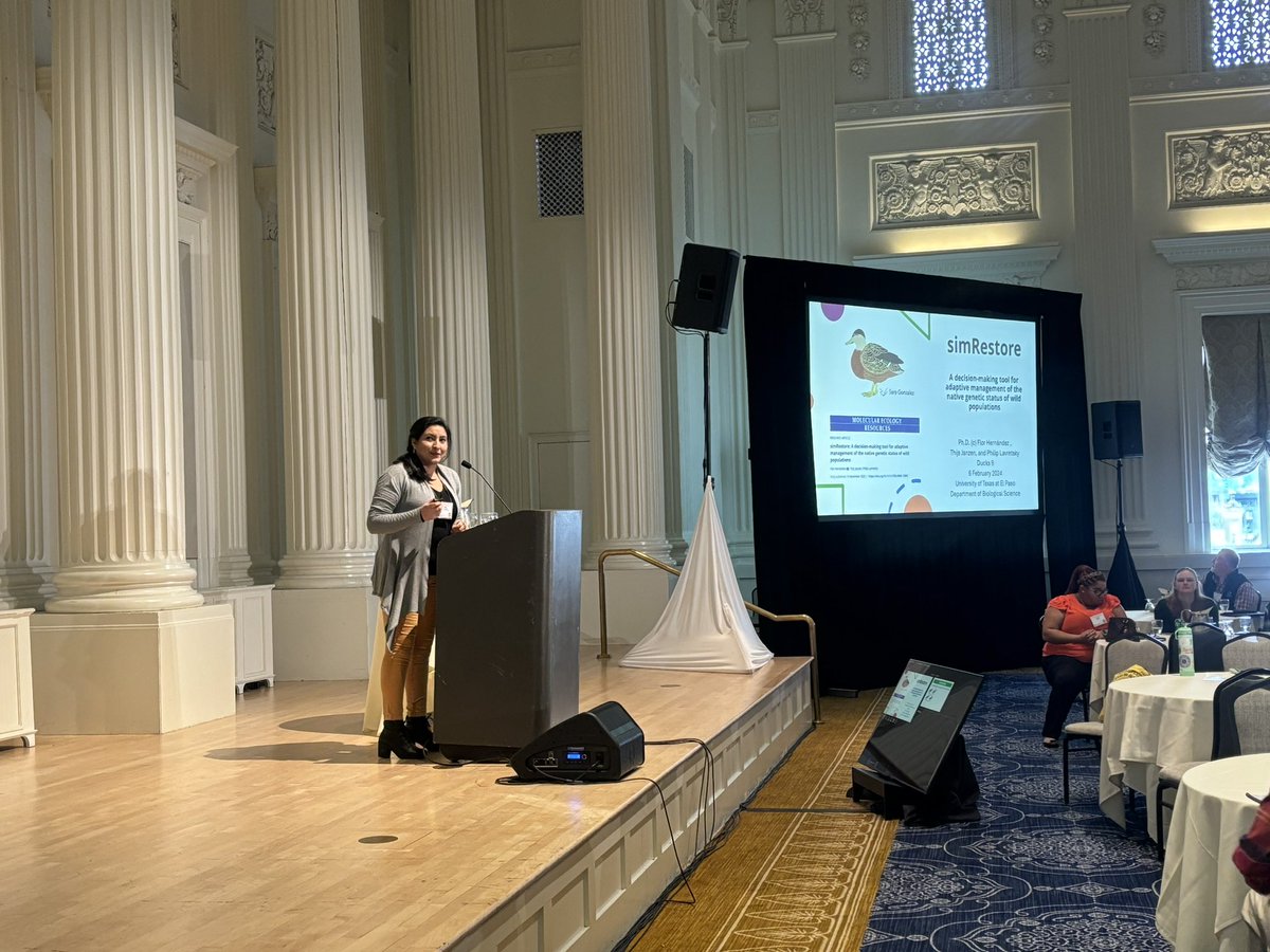 Lavretsky (@lavretskylab) on Twitter photo Congrats to <a href="/FlorHernandez_C/">Flor Hernandez</a> for a great talk on our simRestore R program at DUCKS9 conference! Congrats to <a href="/FlorHernandez_C/">Flor Hernandez</a> for a great talk on our simRestore R program at DUCKS9 conference!