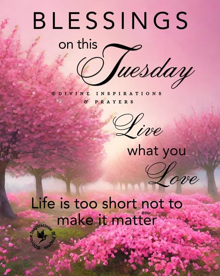 duckpdavis's tweet photo. Hello hello hello everyone. I’m so thankful to be ALIVE today because GOD spoke &amp; said LIVE 🙌🏾🙌🏾👏🏽👏🏽. Happy Tuesday. Embrace this greeting knowing no matter what that you can LIVE AND LOVE ❤️ in every area of your life in the name of Jesus. Enjoy your day. https://t.co/kBcr18FRov