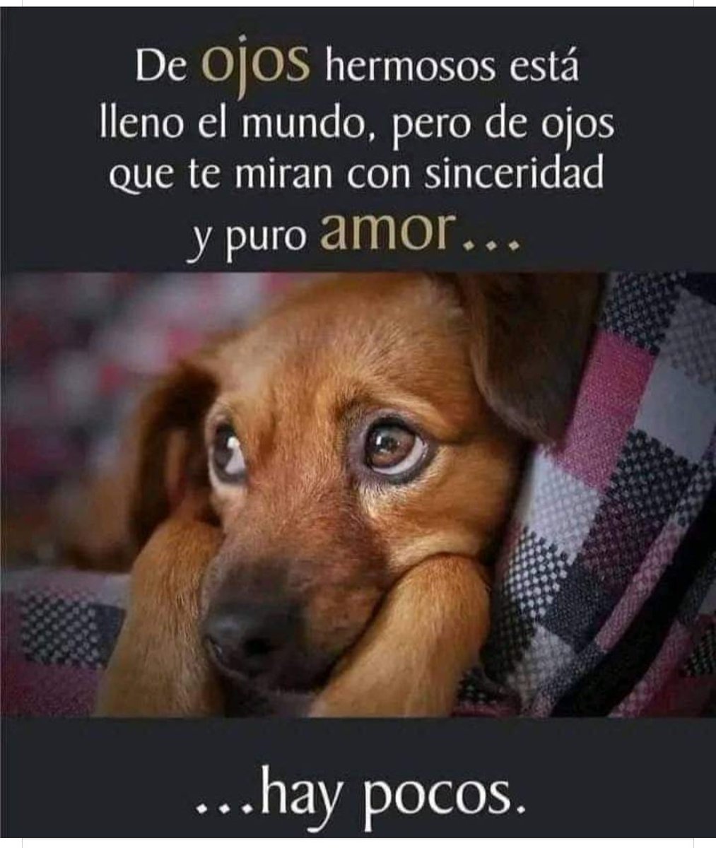 Soyladelosmemes's tweet photo. #Soyladelosmemes
🥰🥰🥰🥰 https://t.co/OfrBfrn1rD