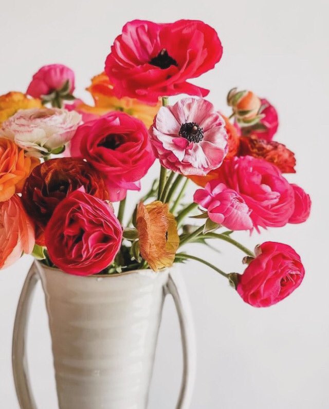 GeminiFlowerSh1's tweet photo. Arreglos florales solo en Gemini Flower Shop &amp; More. ✨💐

#Flores #Flower #ArreglosFlorales #ConsumeLocal #Aguascalientes https://t.co/mTu0rrjbCY