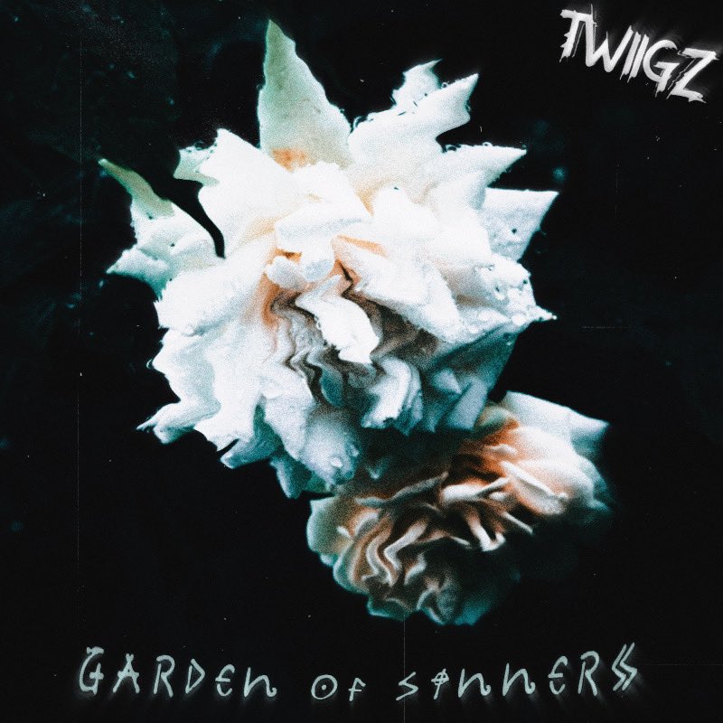 _TWIGZ_Official's tweet photo. My song song of 2024 “Garden of Sinners” will be out on FRIDAY 👽 

We back in business 🙌🏾

#newsingle #dubstep #ableton #serum #vital #goodvibes #inthegardenofsinners https://t.co/YIiLmkoMQ8
