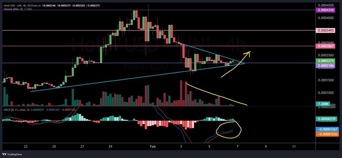 the $HOLD chart on large time frames indicates she is prime for a macro reversal fam

the trendlines are tight, volume tapering day over day

we had MACD &amp; RSI reset over the weekend &amp; flip boolish

what we have here forming is the baseline of our next fractal

be EZ 💙